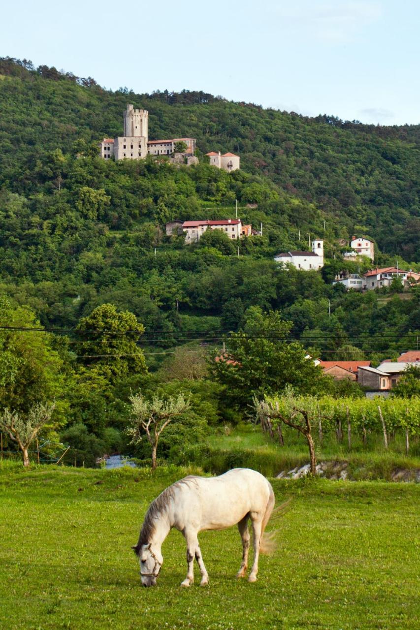 Guesthouse Osterija Branik Esterno foto